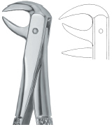 Tooth Ext Forceps